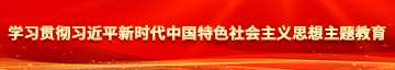 想被大鸡巴操逼网站学习贯彻习近平新时代中国特色社会主义思想主题教育